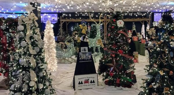 A festive indoor scene featuring multiple decorated Christmas trees adorned with lights and ornaments, surrounded by white fabric and twinkling fairy lights overhead, creating a warm, holiday atmosphere.
