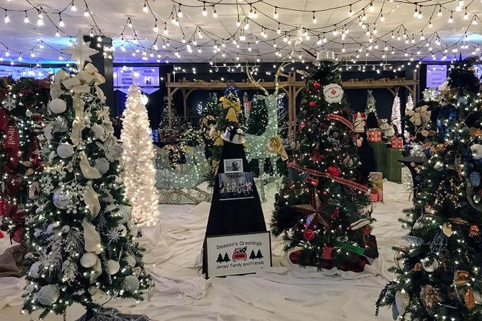 A festive indoor scene featuring multiple decorated Christmas trees adorned with lights and ornaments, surrounded by white fabric and twinkling fairy lights overhead, creating a warm, holiday atmosphere.