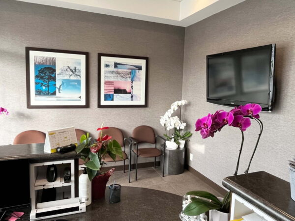 A modern waiting area featuring comfortable chairs, decorative potted plants, and purple orchids. Two framed artworks hang on the wall, and a flat-screen TV is mounted. The room has a sleek, professional ambiance, suitable for a medical or office environment.