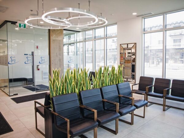 A modern reception area featuring sleek black wooden chairs, a decorative plant arrangement, and large windows allowing natural light. A contemporary light fixture hangs from the ceiling, and there are visible partitions leading to separate rooms.
